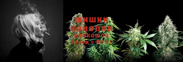 ГАЛЛЮЦИНОГЕННЫЕ ГРИБЫ Беломорск