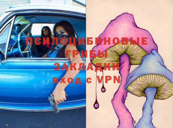 ГАЛЛЮЦИНОГЕННЫЕ ГРИБЫ Беломорск