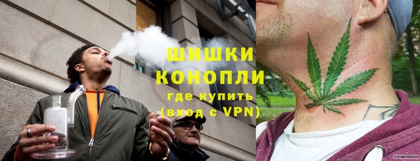 сатива Балахна