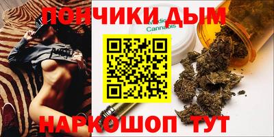 шишки Абакан