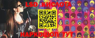 шишки Абакан