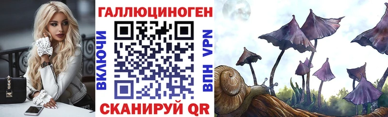 Галлюциногенные грибы Psilocybine cubensis Вязники