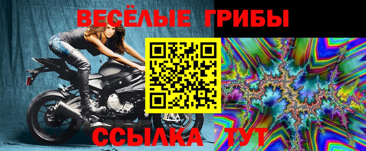 Псилоцибиновые грибы прущие грибы  Вязники 