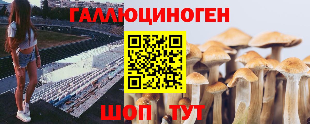 Галлюциногенные грибы ЛСД Вязники