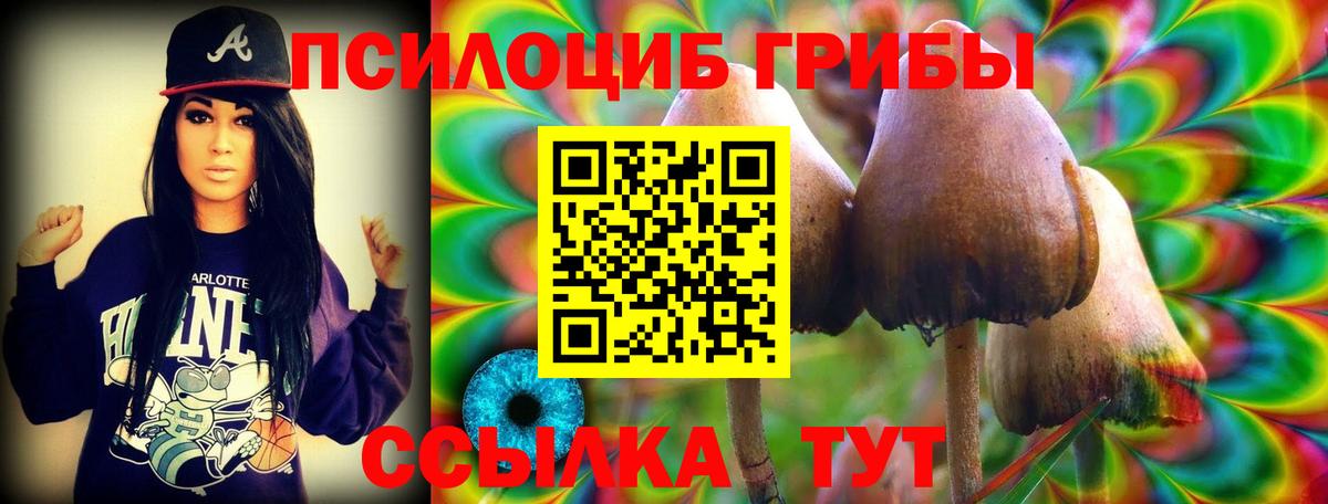 Вязники  Галлюциногенные грибы мухоморы  купить наркотик  Вход с VPN 